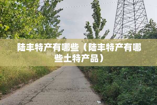 陆丰特产有哪些（陆丰特产有哪些土特产品）