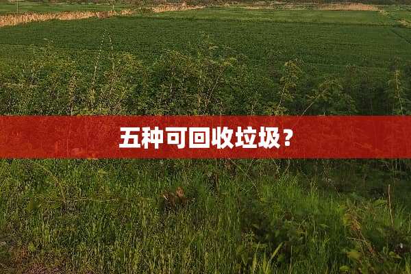 五种可回收垃圾？