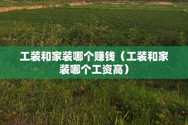 工装和家装哪个赚钱（工装和家装哪个工资高）