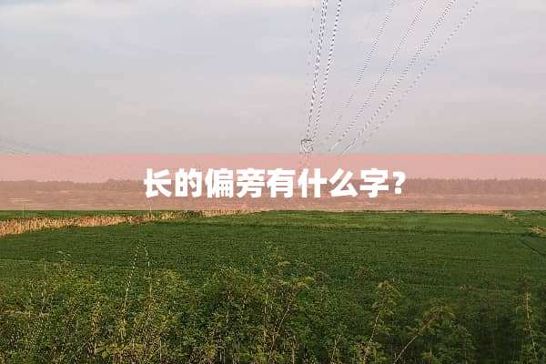 长的偏旁有什么字？