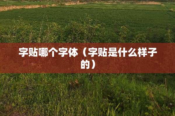 字贴哪个字体（字贴是什么样子的）