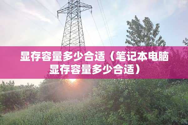 显存容量多少合适（笔记本电脑显存容量多少合适）