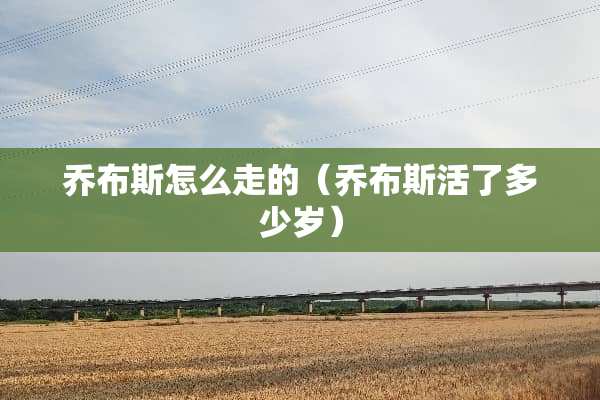 乔布斯怎么走的（乔布斯活了多少岁）