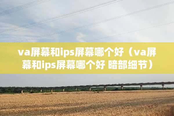 va屏幕和ips屏幕哪个好（va屏幕和ips屏幕哪个好 暗部细节）