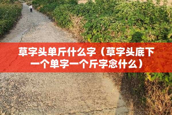 草字头单斤什么字（草字头底下一个单字一个斤字念什么）