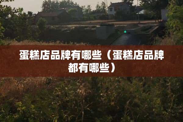 蛋糕店品牌有哪些（蛋糕店品牌都有哪些）