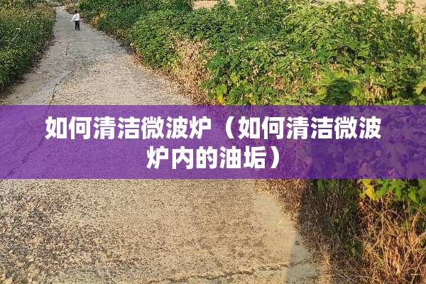 如何清洁微波炉（如何清洁微波炉内的油垢）