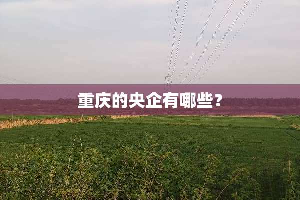 重庆的央企有哪些？
