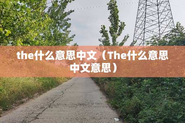 the什么意思中文（The什么意思中文意思）