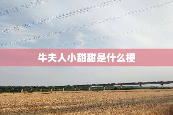 牛夫人小甜甜是什么梗