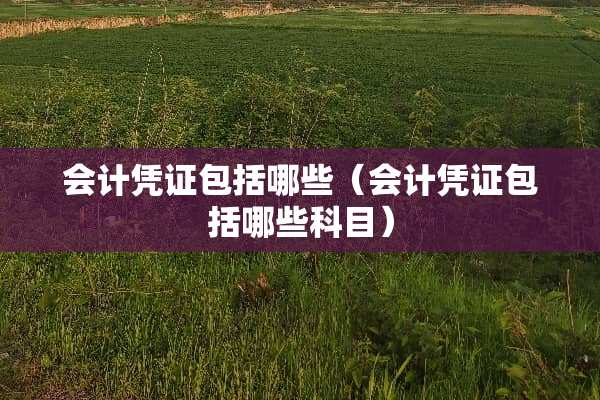 会计凭证包括哪些（会计凭证包括哪些科目）
