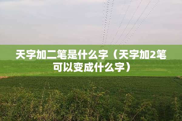 天字加二笔是什么字（天字加2笔可以变成什么字）