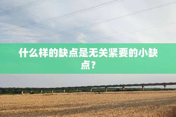什么样的缺点是无关紧要的小缺点？