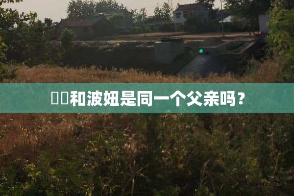 咘咘和波妞是同一个父亲吗？