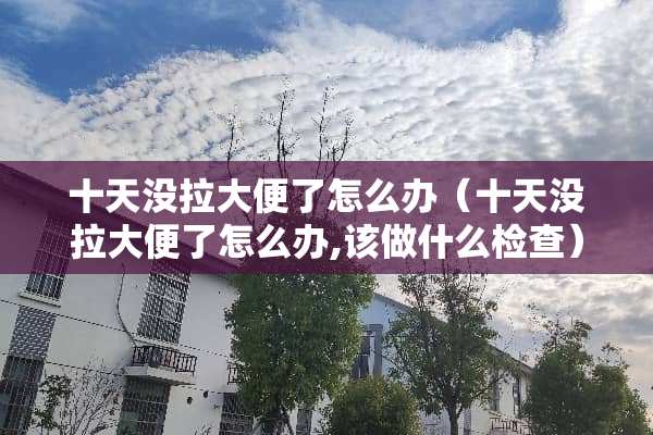 十天没拉大便了怎么办（十天没拉大便了怎么办,该做什么检查）