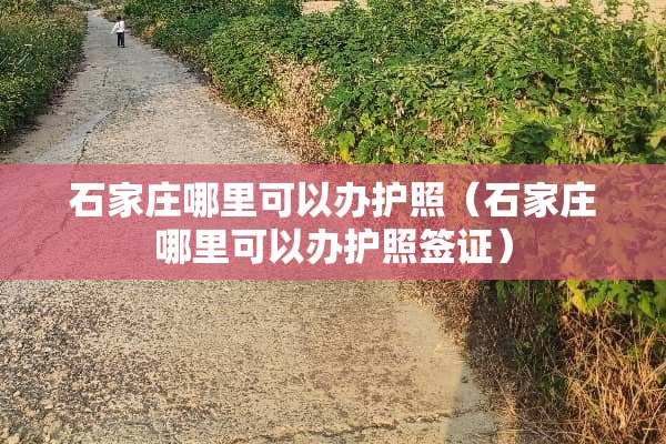 石家庄哪里可以办护照（石家庄哪里可以办护照签证）