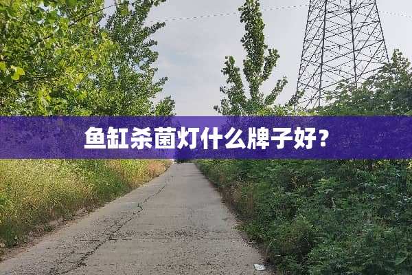 鱼缸杀菌灯什么牌子好？