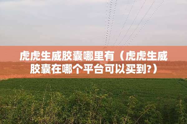 虎虎生威胶囊哪里有（虎虎生威胶囊在哪个平台可以买到?）