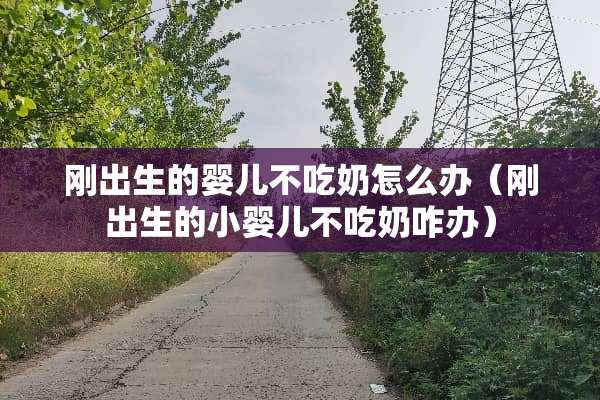 刚出生的婴儿不吃奶怎么办（刚出生的小婴儿不吃奶咋办）