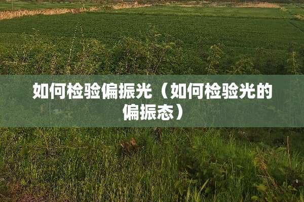 如何检验偏振光（如何检验光的偏振态）