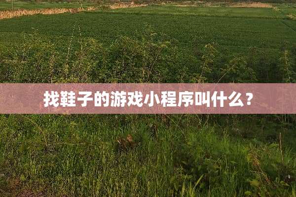 找鞋子的游戏小程序叫什么？