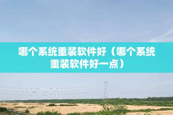 哪个系统重装软件好（哪个系统重装软件好一点）