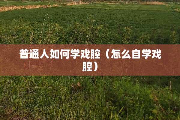 普通人如何学戏腔（怎么自学戏腔）