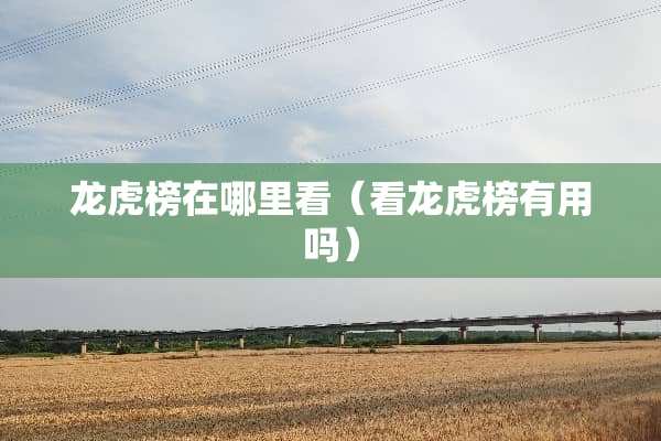 龙虎榜在哪里看（看龙虎榜有用吗）