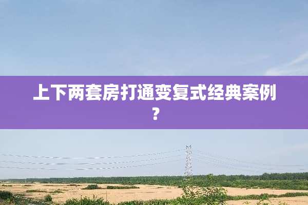上下两套房打通变复式经典案例？