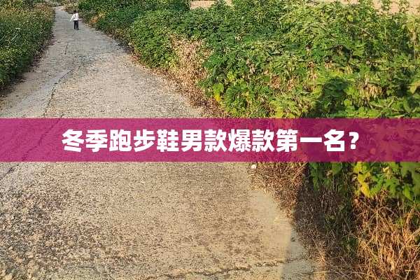 冬季跑步鞋男款爆款第一名？
