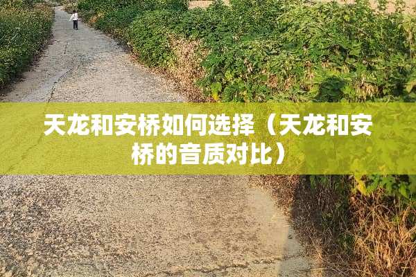 天龙和安桥如何选择（天龙和安桥的音质对比）