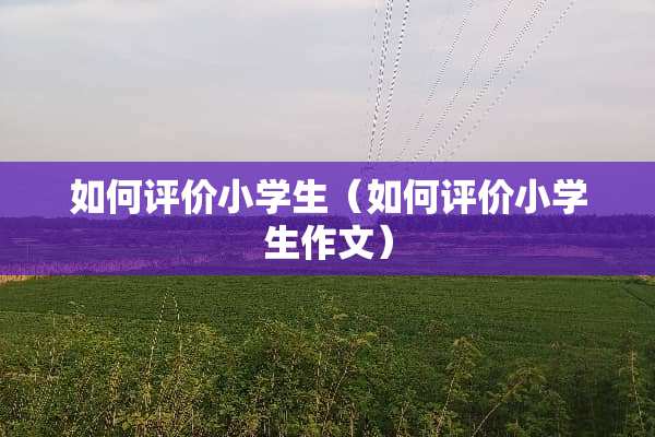 如何评价小学生（如何评价小学生作文）
