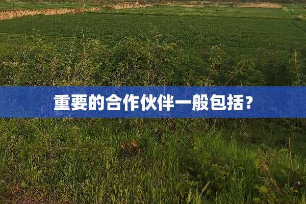重要的合作伙伴一般包括？