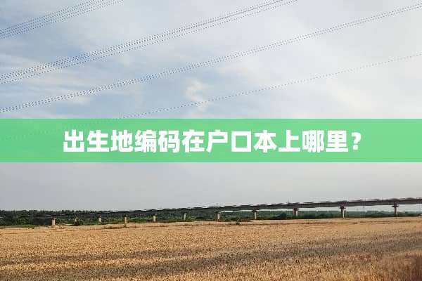 出生地编码在户口本上哪里？