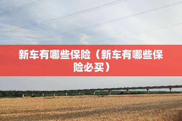 新车有哪些保险（新车有哪些保险必买）