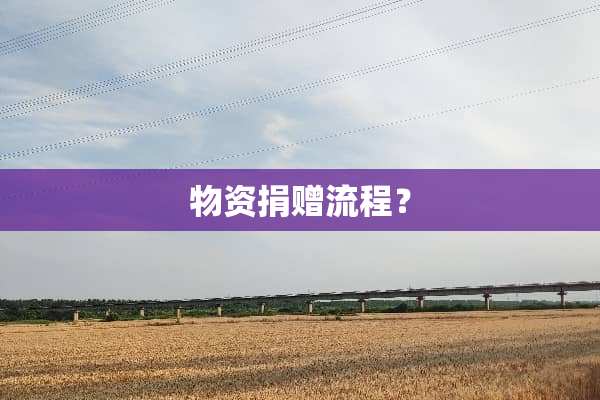 物资捐赠流程？