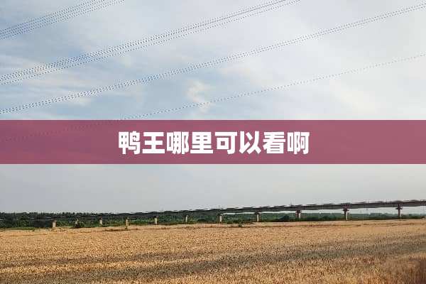 鸭王哪里可以看啊