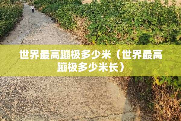 世界最高蹦极多少米（世界最高蹦极多少米长）