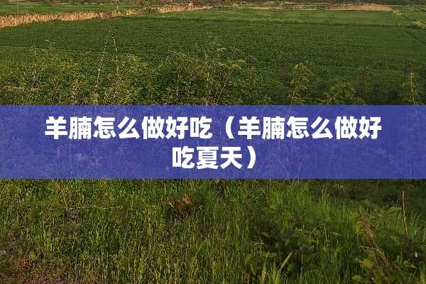 羊腩怎么做好吃（羊腩怎么做好吃夏天）