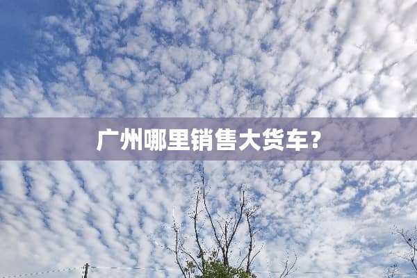 广州哪里销售大货车？