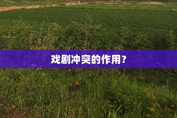 戏剧冲突的作用？
