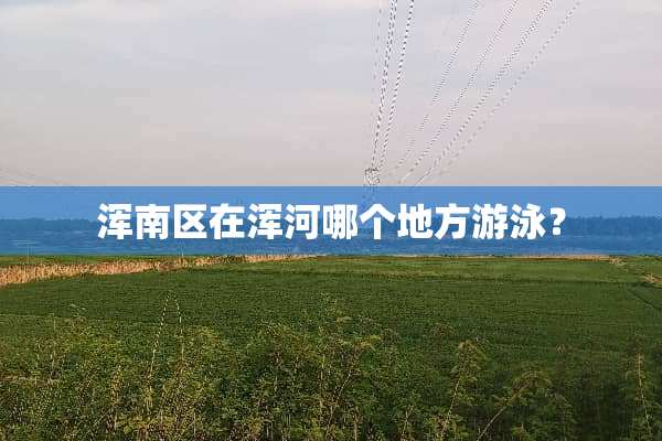浑南区在浑河哪个地方游泳？