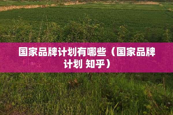 国家品牌计划有哪些（国家品牌计划 知乎）
