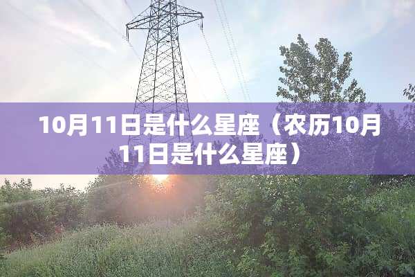 10月11日是什么星座（农历10月11日是什么星座）