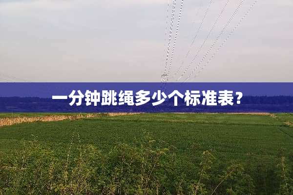 一分钟跳绳多少个标准表？