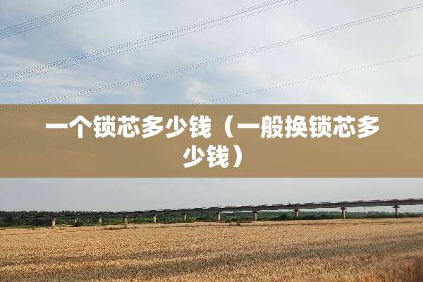 一个锁芯多少钱（一般换锁芯多少钱）