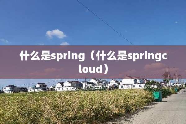 什么是spring（什么是springcloud）