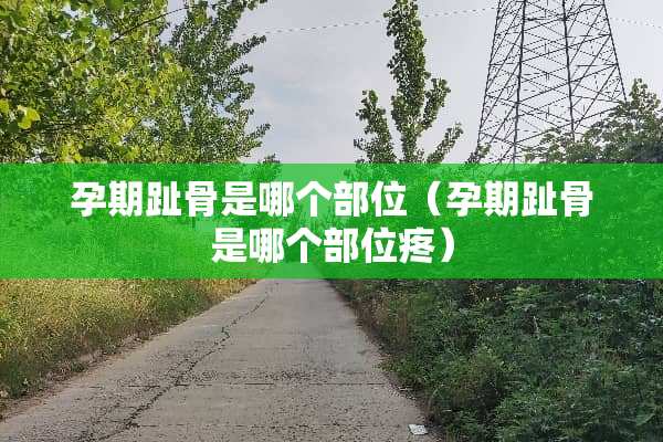 孕期趾骨是哪个部位（孕期趾骨是哪个部位疼）