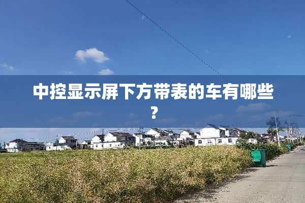 中控显示屏下方带表的车有哪些？