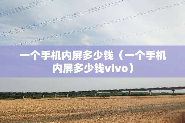 一个手机内屏多少钱（一个手机内屏多少钱vivo）